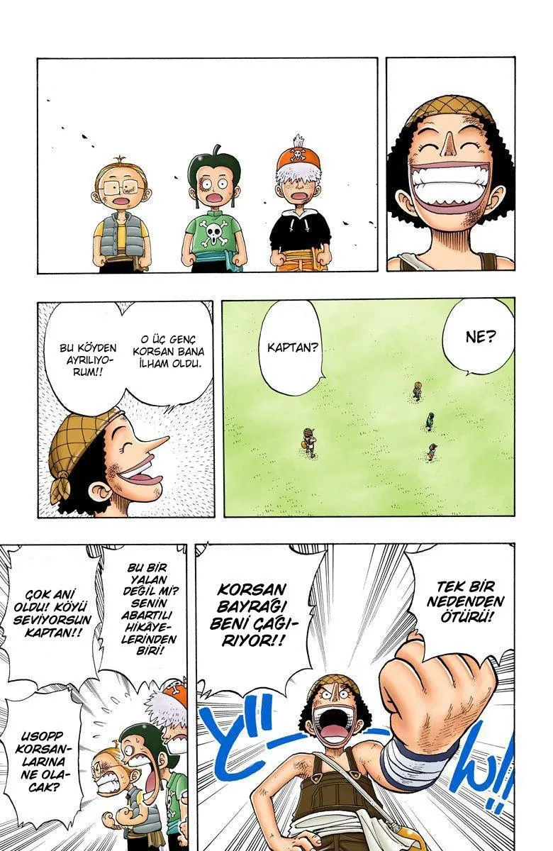 One Piece [Renkli] - Sayfa 16