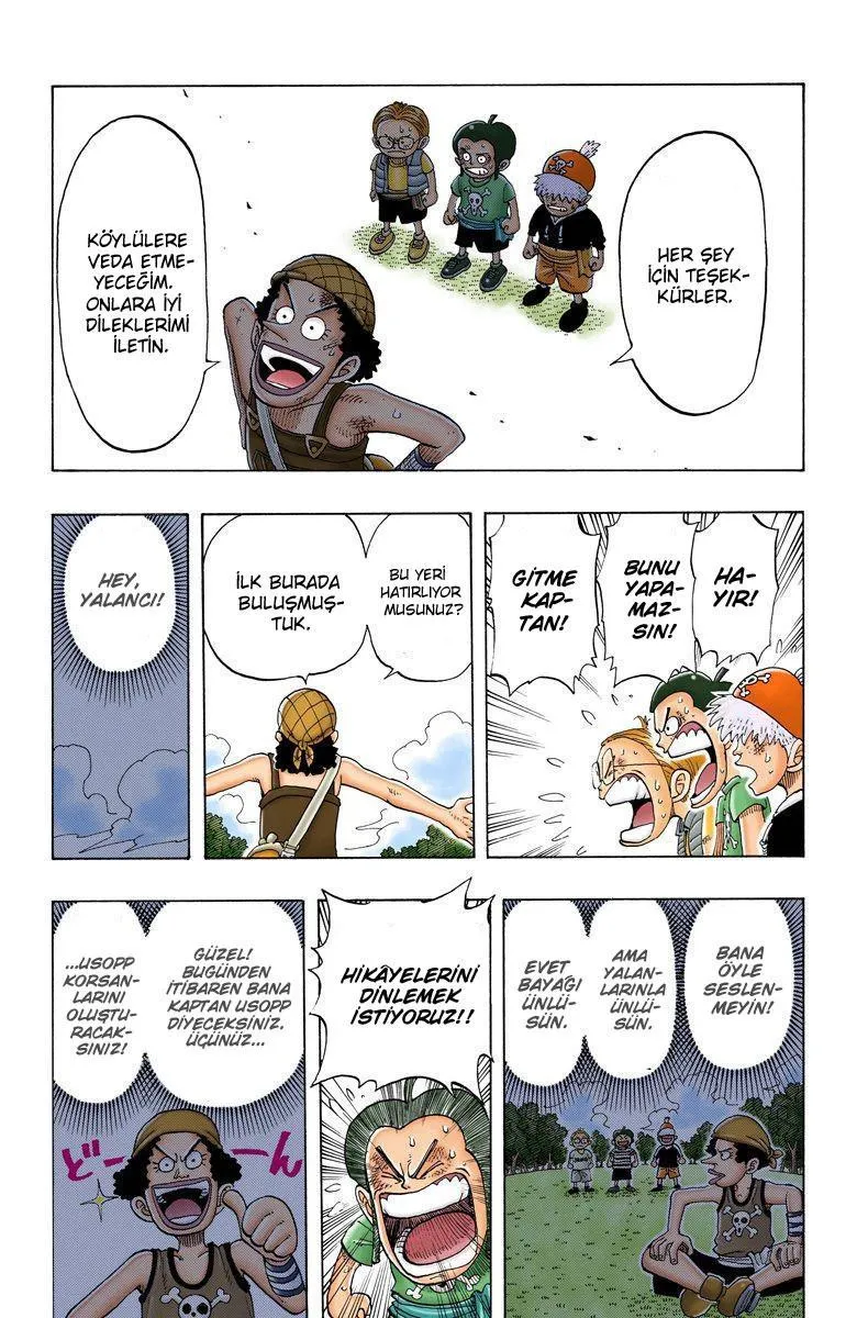 One Piece [Renkli] - Sayfa 17