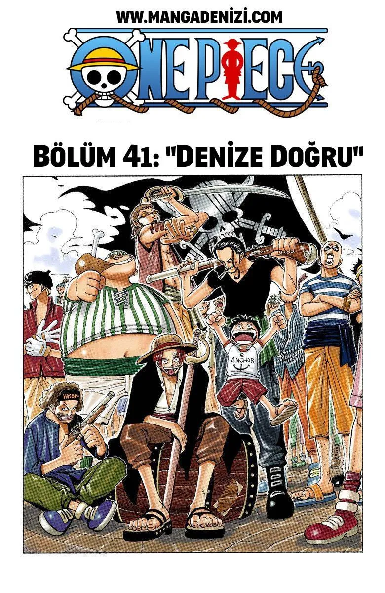 One Piece [Renkli] - Sayfa 2