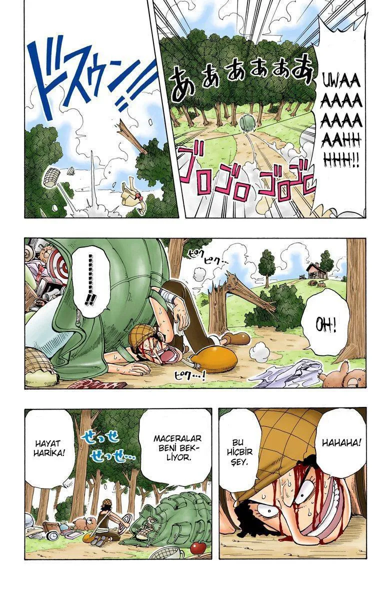 One Piece [Renkli] - Sayfa 7