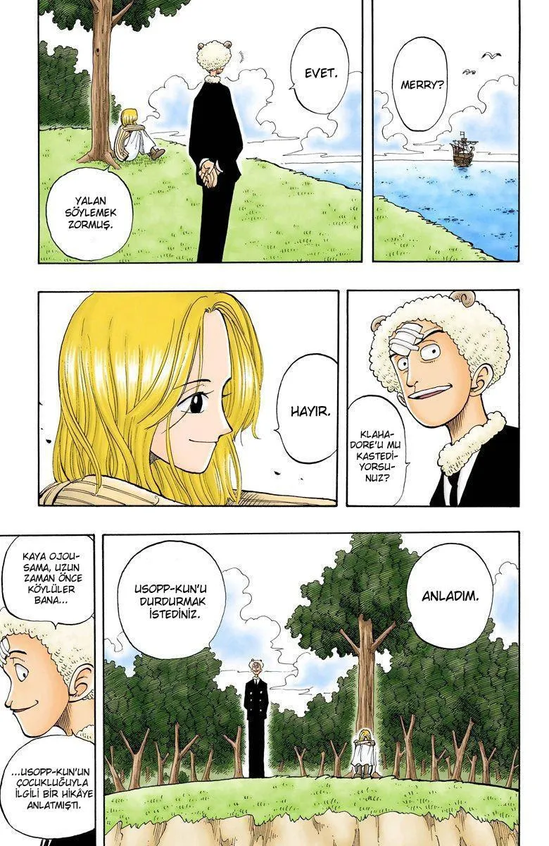 One Piece [Renkli] - Sayfa 15