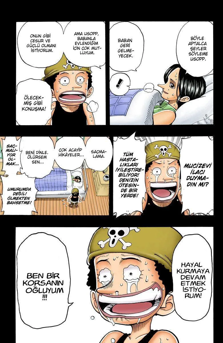 One Piece [Renkli] - Sayfa 17