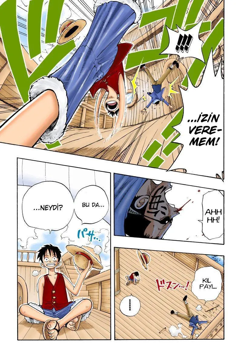 One Piece [Renkli] - Sayfa 12