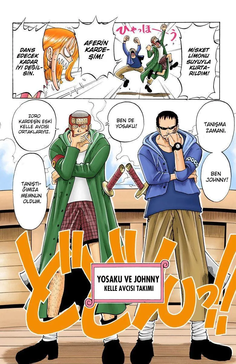 One Piece [Renkli] - Sayfa 17