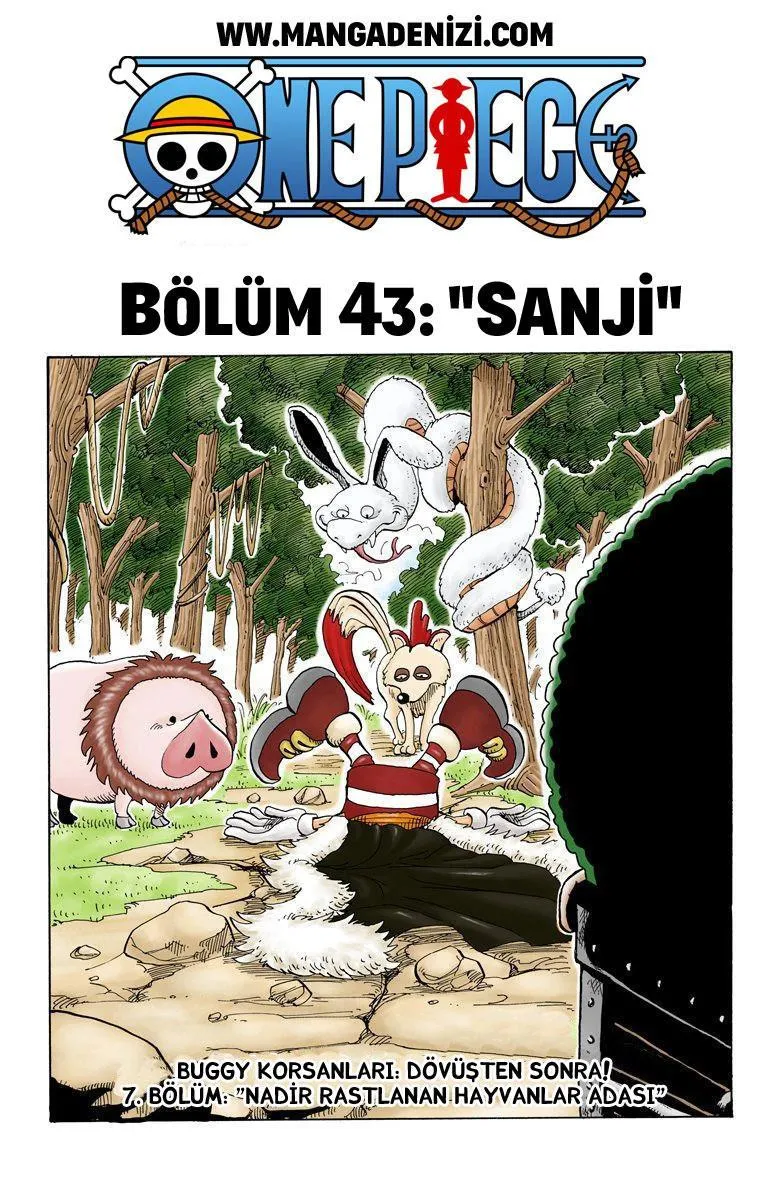 One Piece [Renkli] - Sayfa 2