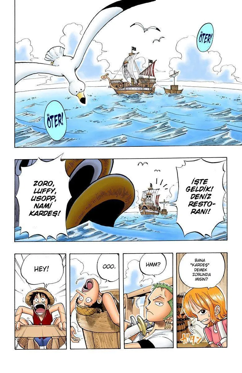 One Piece [Renkli] - Sayfa 3