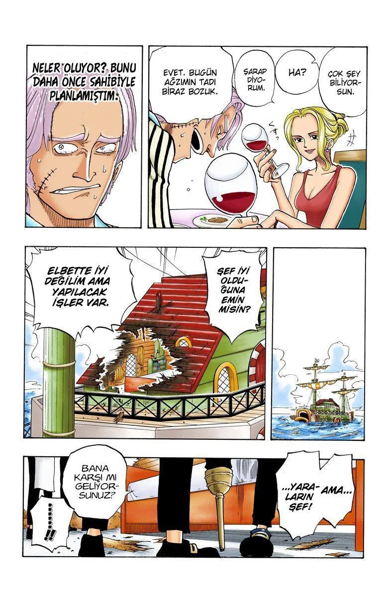 One Piece [Renkli] - Sayfa 14