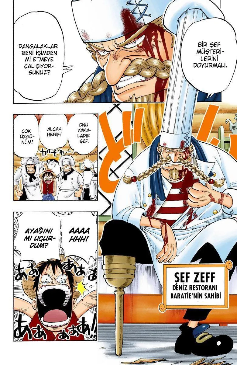 One Piece [Renkli] - Sayfa 15