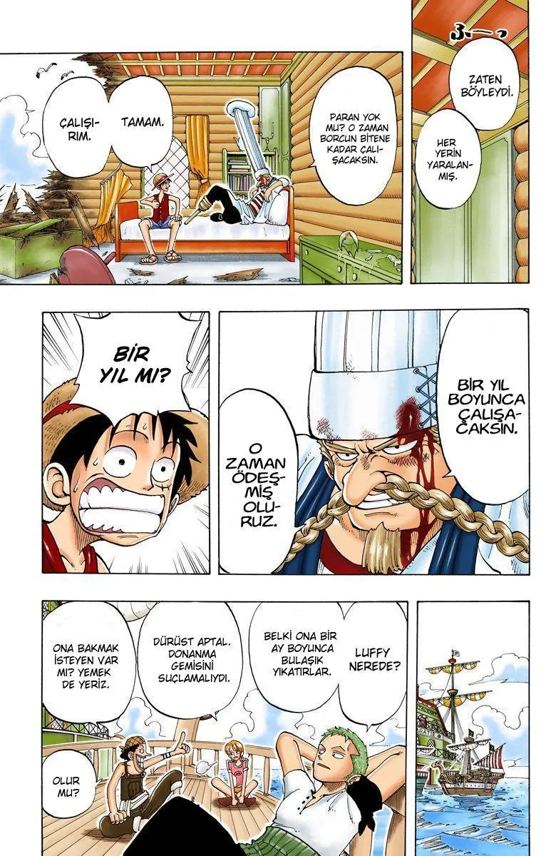 One Piece [Renkli] - Sayfa 16