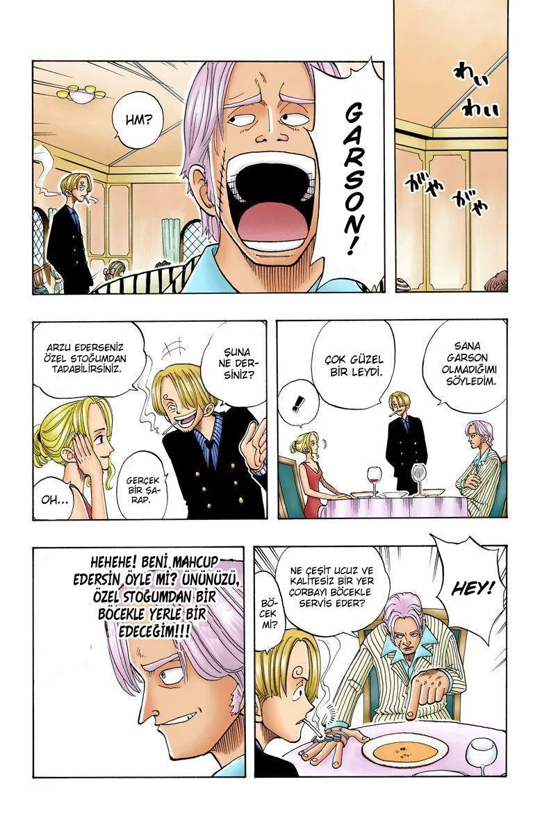 One Piece [Renkli] - Sayfa 17