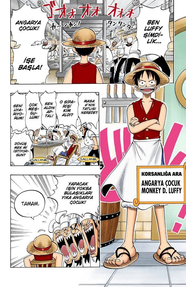 One Piece [Renkli] - Sayfa 14
