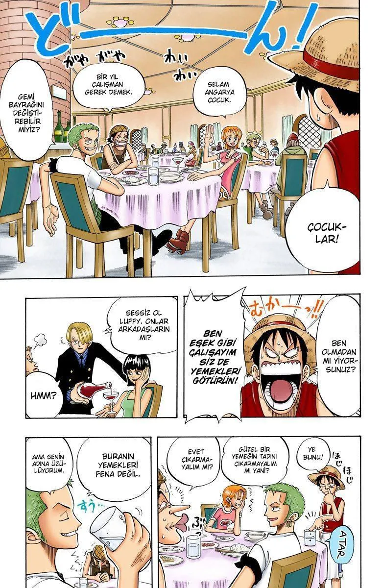 One Piece [Renkli] - Sayfa 17