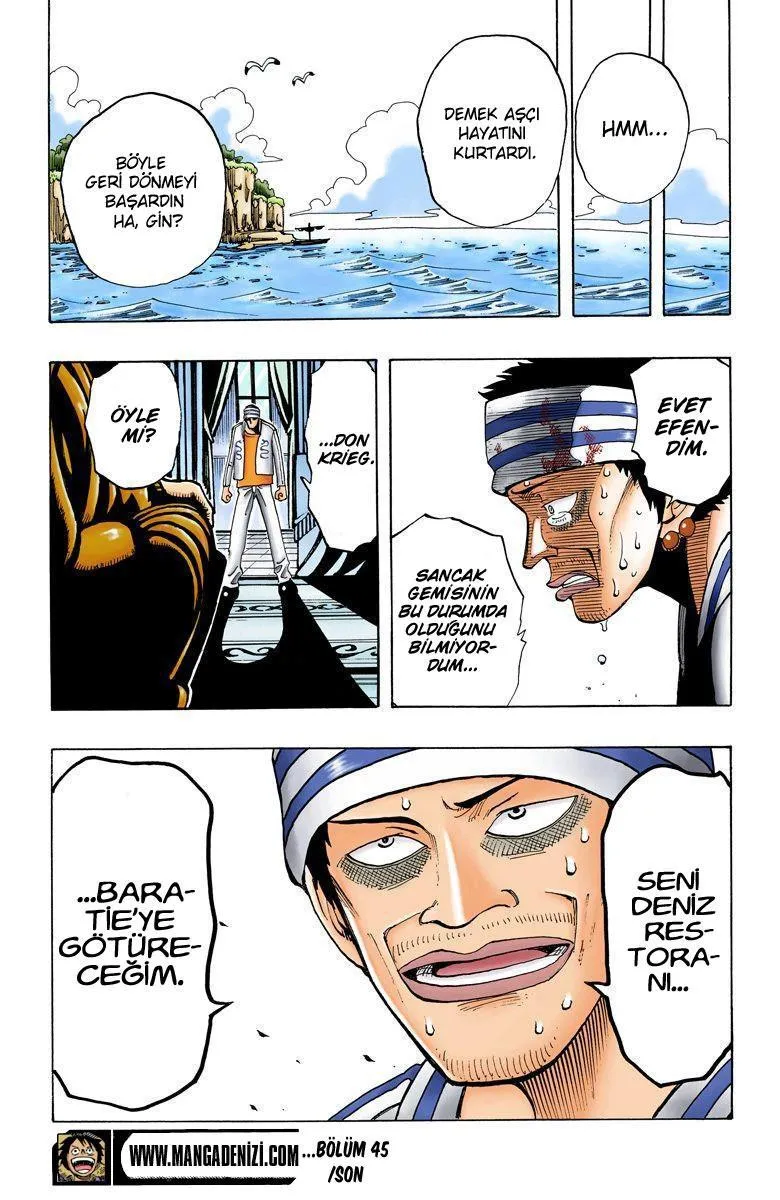 One Piece [Renkli] - Sayfa 19