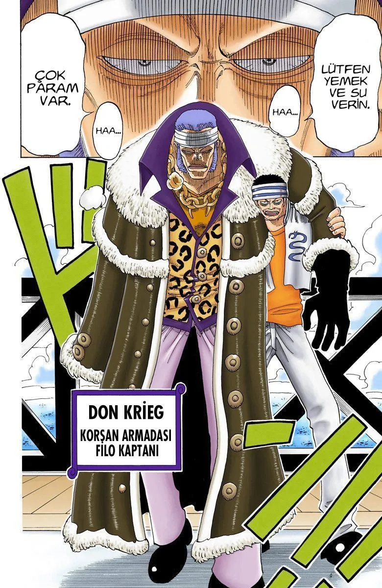 One Piece [Renkli] - Sayfa 13