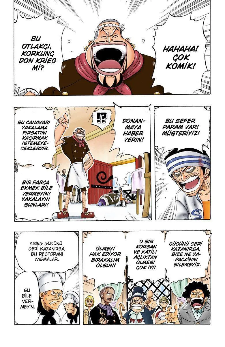 One Piece [Renkli] - Sayfa 15