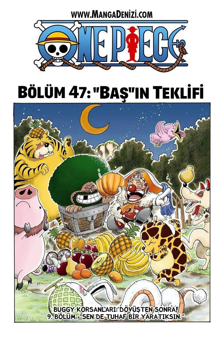 One Piece [Renkli] - Sayfa 2