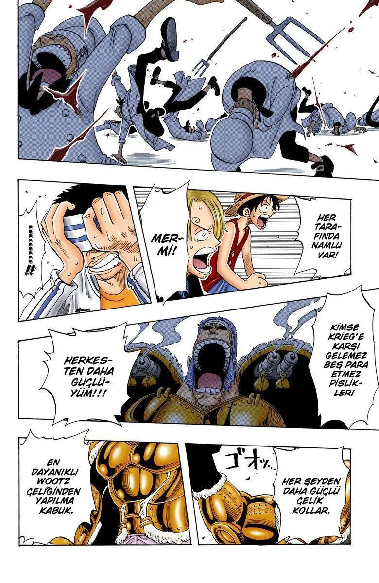 One Piece [Renkli] - Sayfa 16