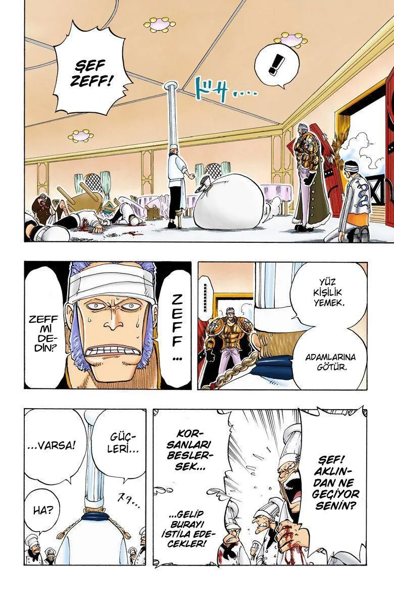 One Piece [Renkli] - Sayfa 18