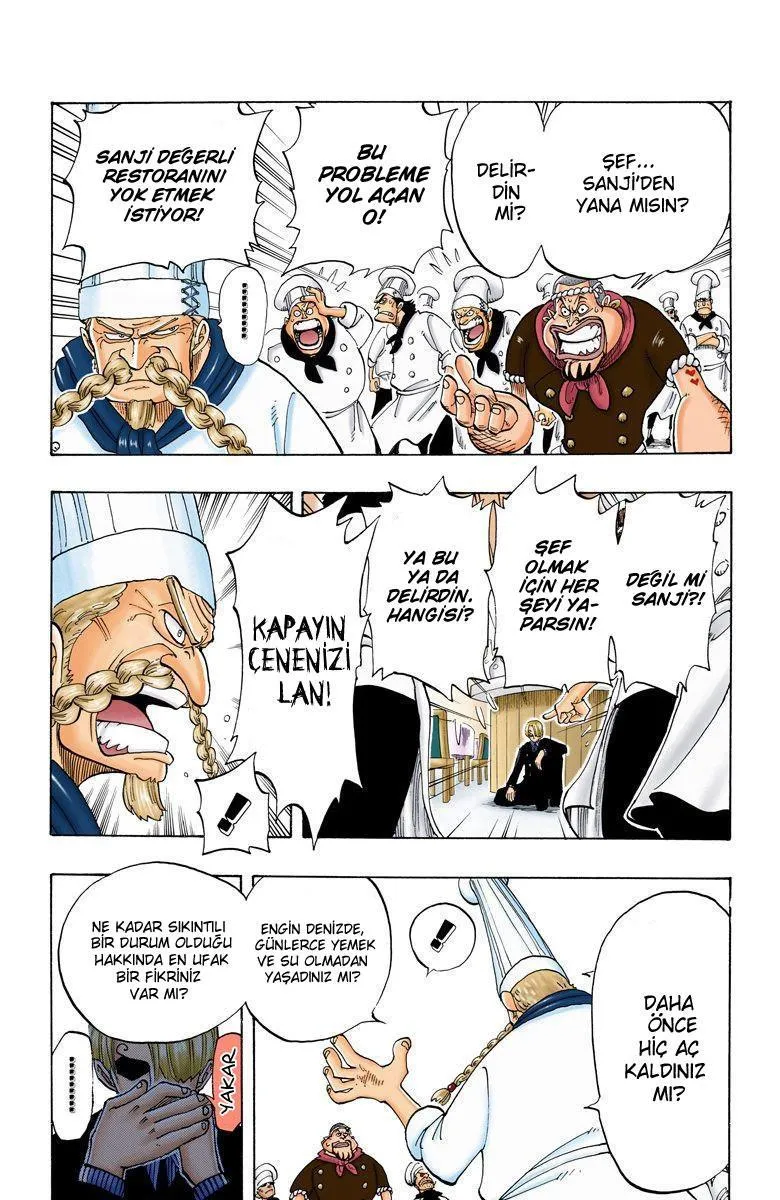 One Piece [Renkli] - Sayfa 15