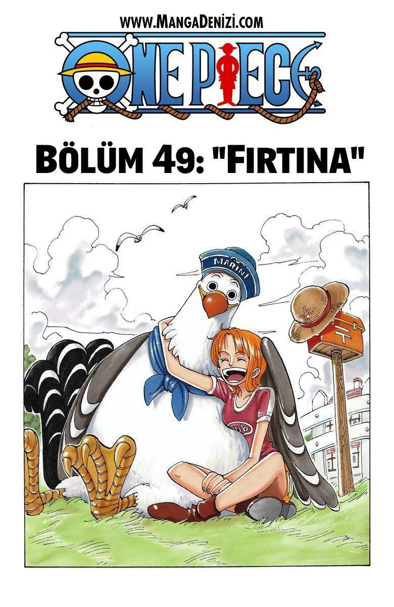 One Piece [Renkli] - Sayfa 2