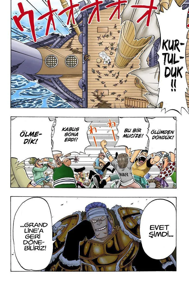 One Piece [Renkli] - Sayfa 10