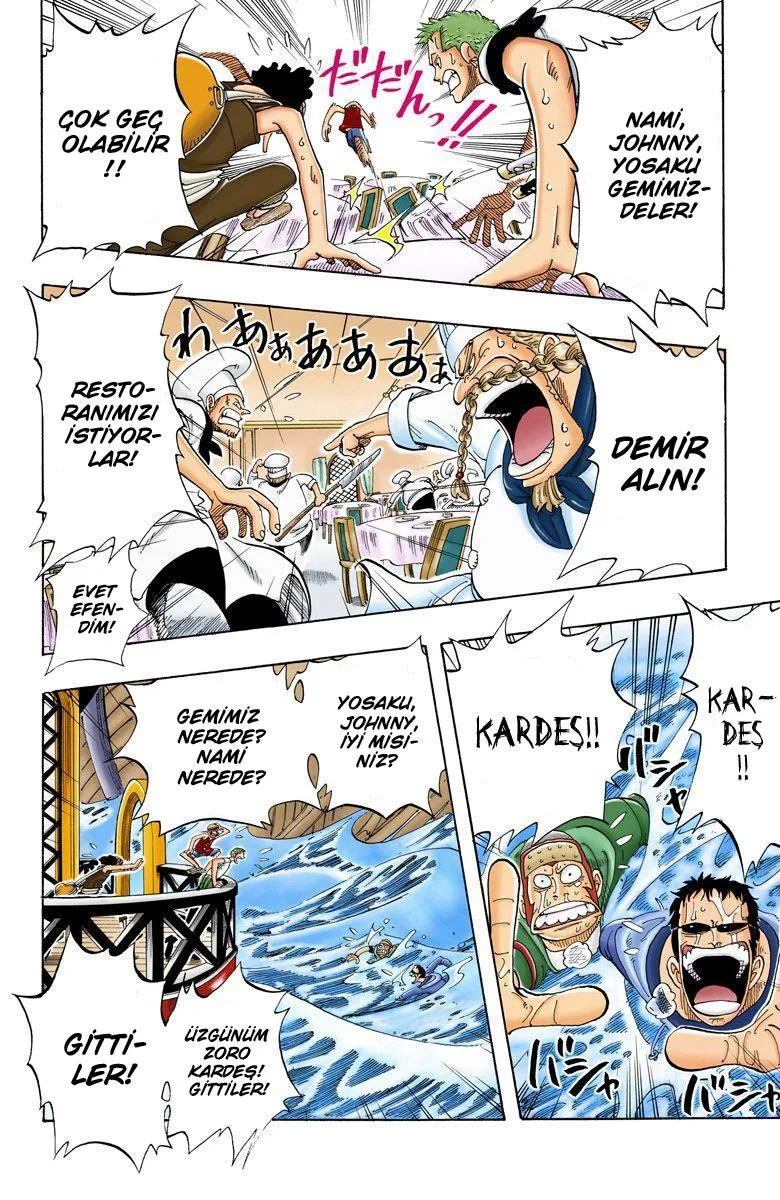 One Piece [Renkli] - Sayfa 17