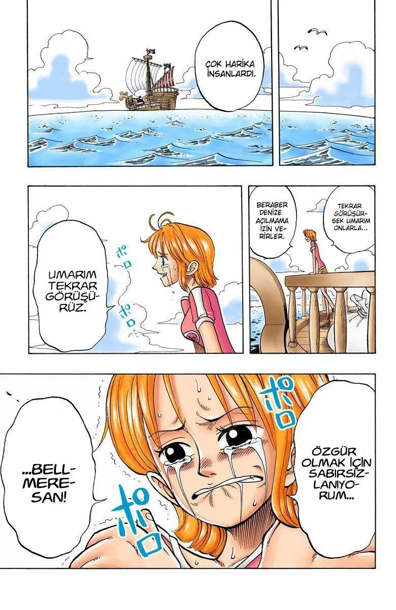 One Piece [Renkli] - Sayfa 20