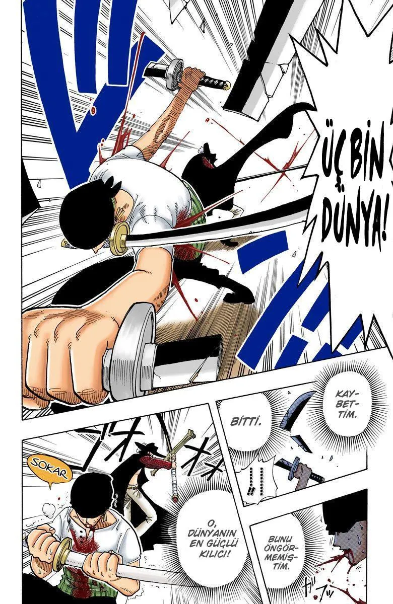 One Piece [Renkli] - Sayfa 19