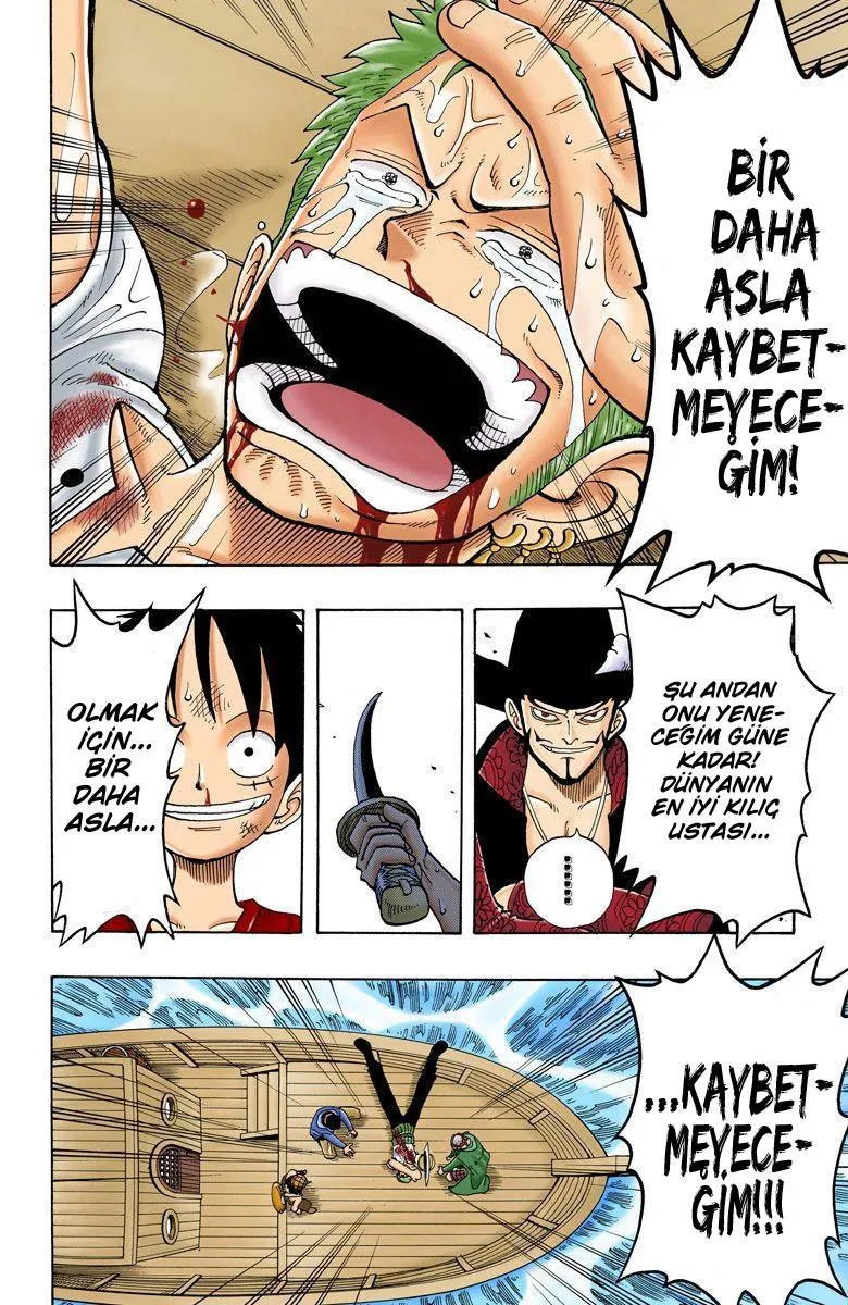 One Piece [Renkli] - Sayfa 15