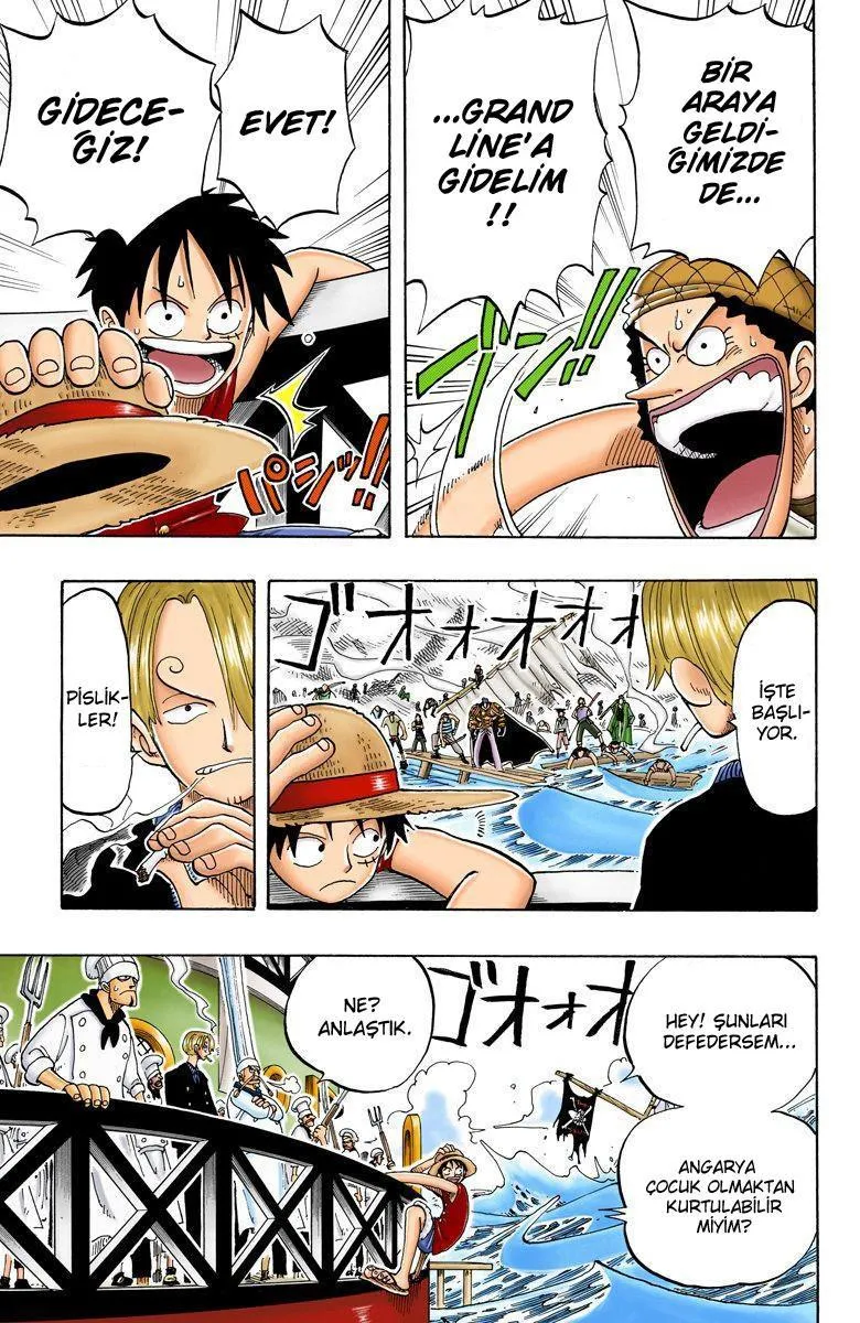 One Piece [Renkli] - Sayfa 20