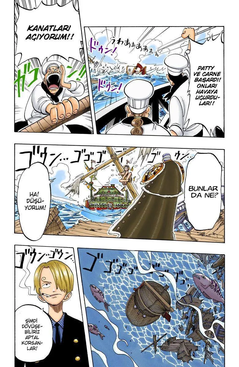 One Piece [Renkli] - Sayfa 15