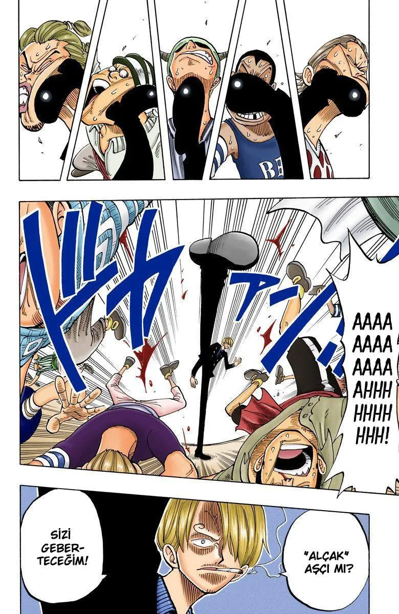 One Piece [Renkli] - Sayfa 15