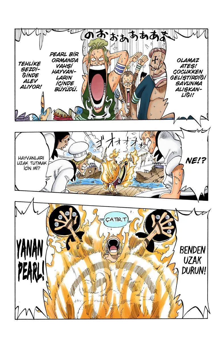 One Piece [Renkli] - Sayfa 6