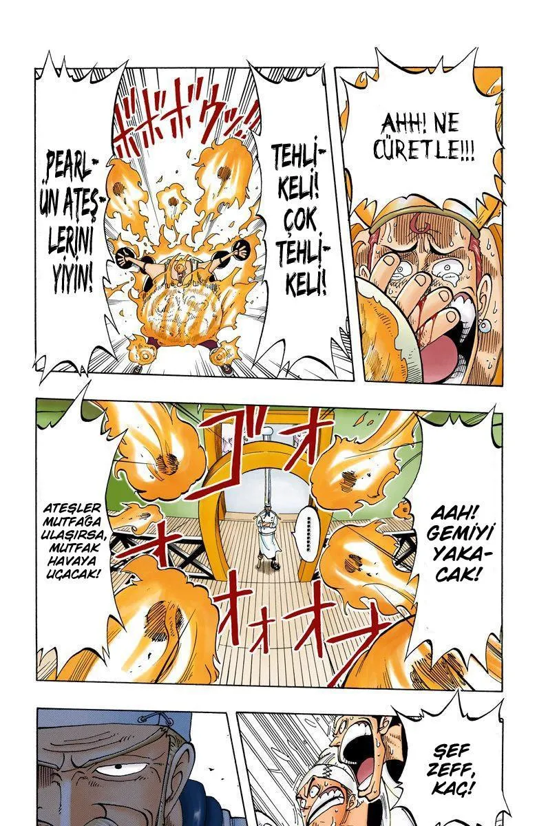 One Piece [Renkli] - Sayfa 14