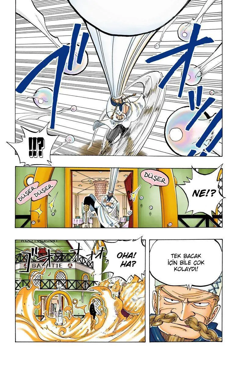 One Piece [Renkli] - Sayfa 15