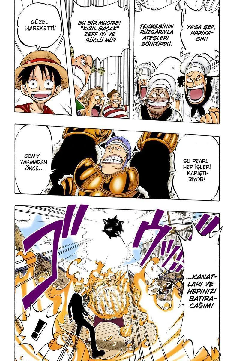 One Piece [Renkli] - Sayfa 16