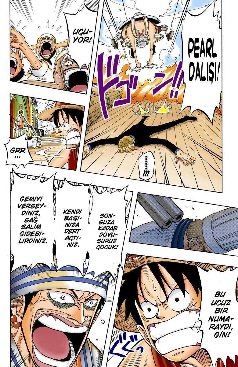 One Piece [Renkli] - Sayfa 14