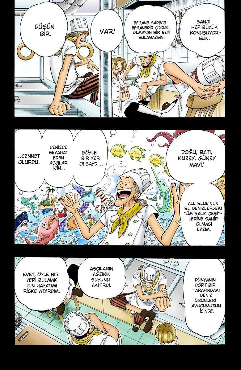 One Piece [Renkli] - Sayfa 18