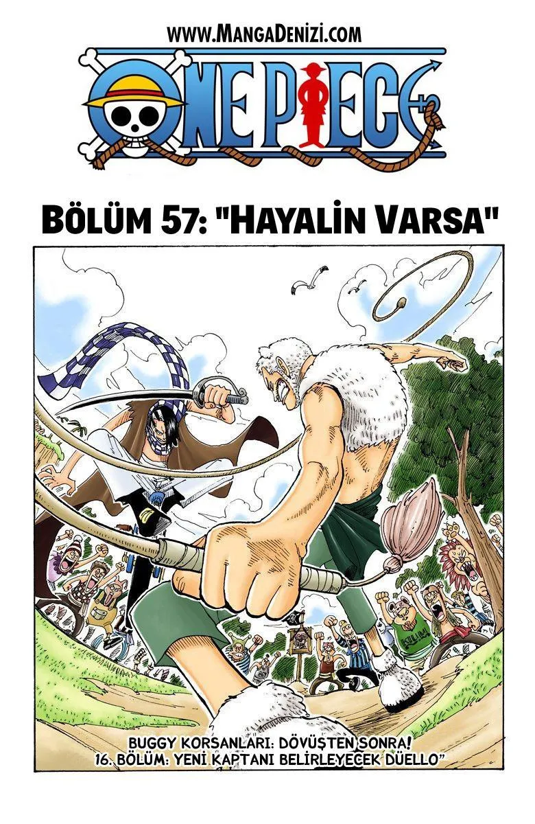 One Piece [Renkli] - Sayfa 2