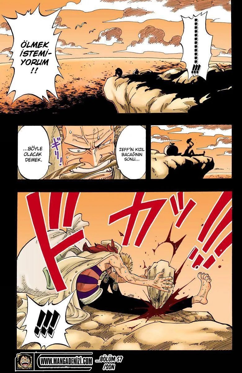 One Piece [Renkli] - Sayfa 20