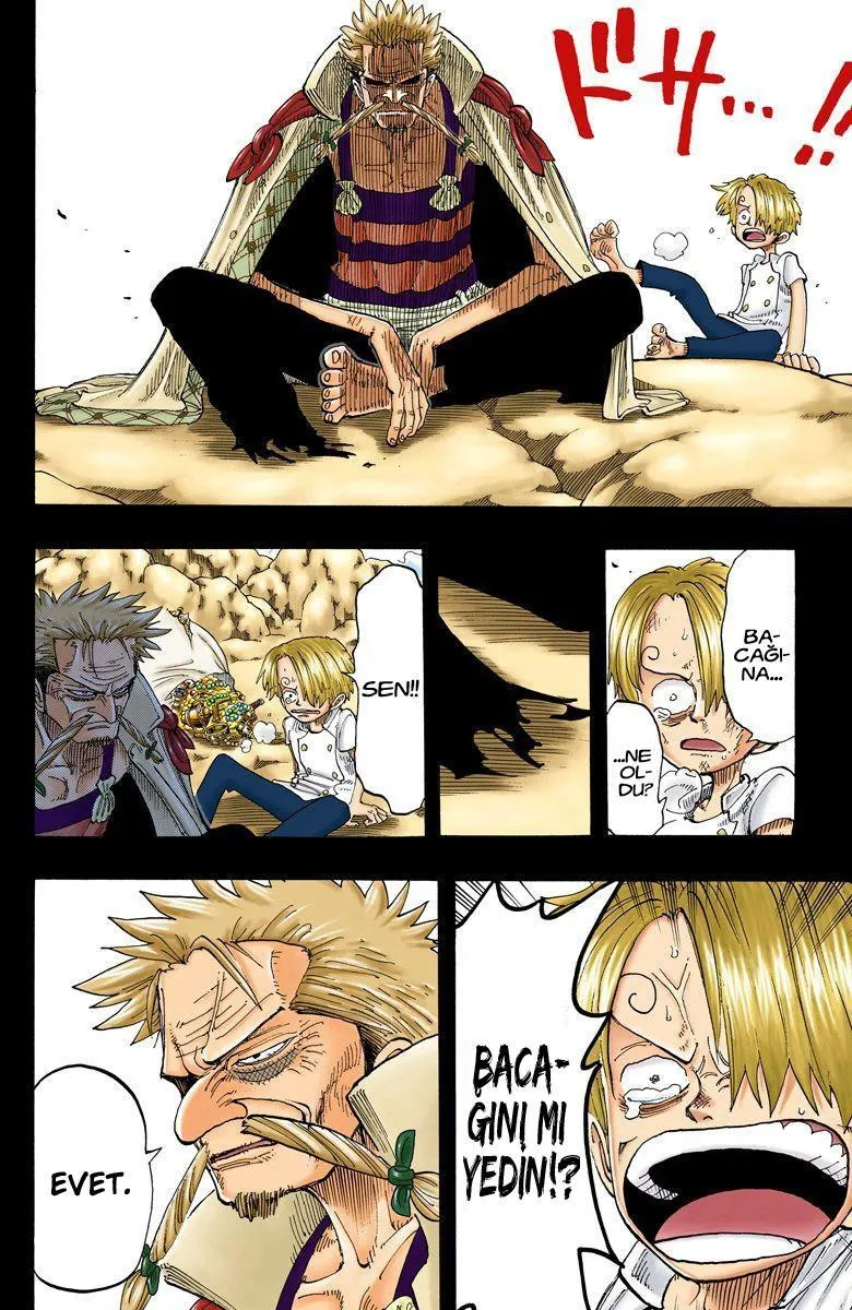 One Piece [Renkli] - Sayfa 15