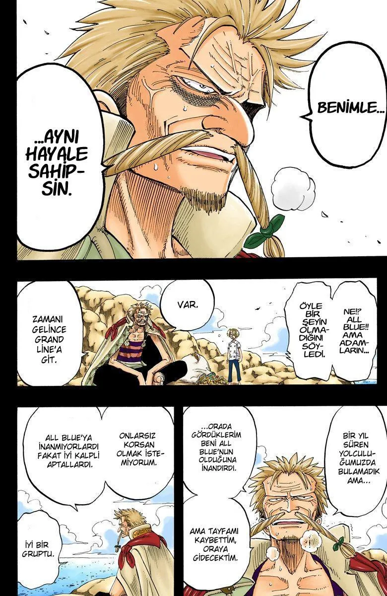 One Piece [Renkli] - Sayfa 17