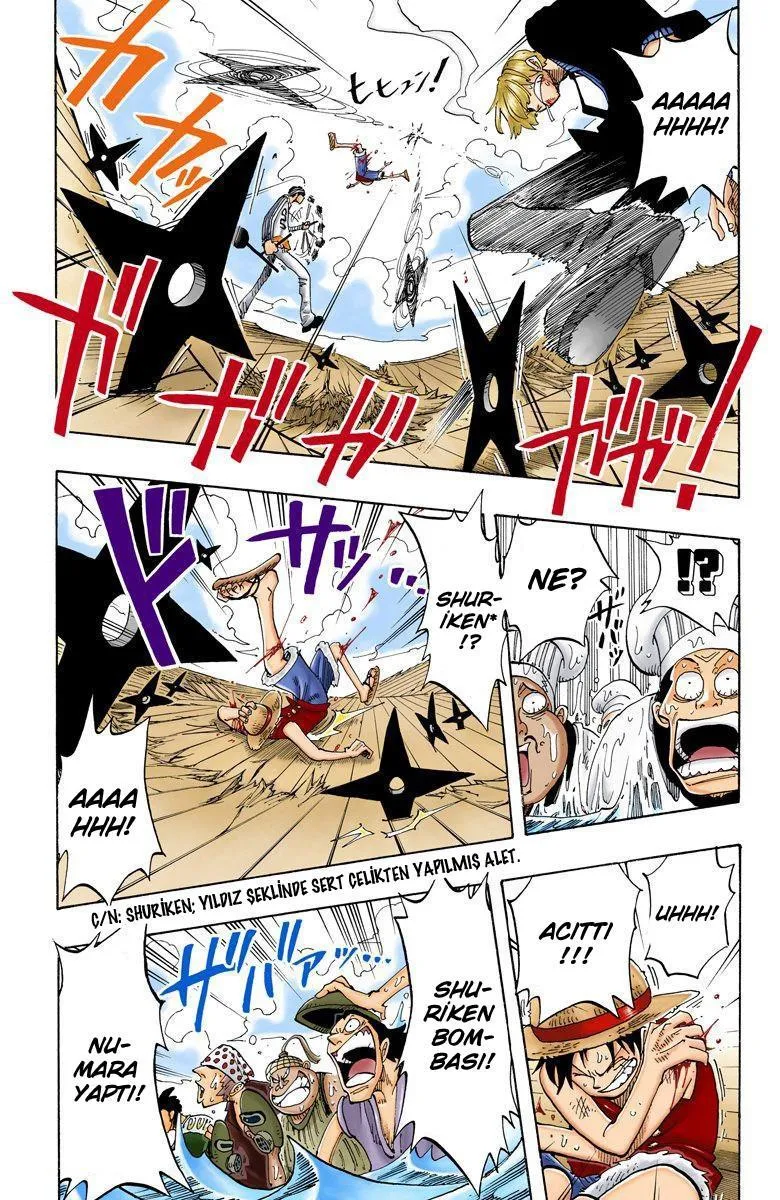 One Piece [Renkli] - Sayfa 14