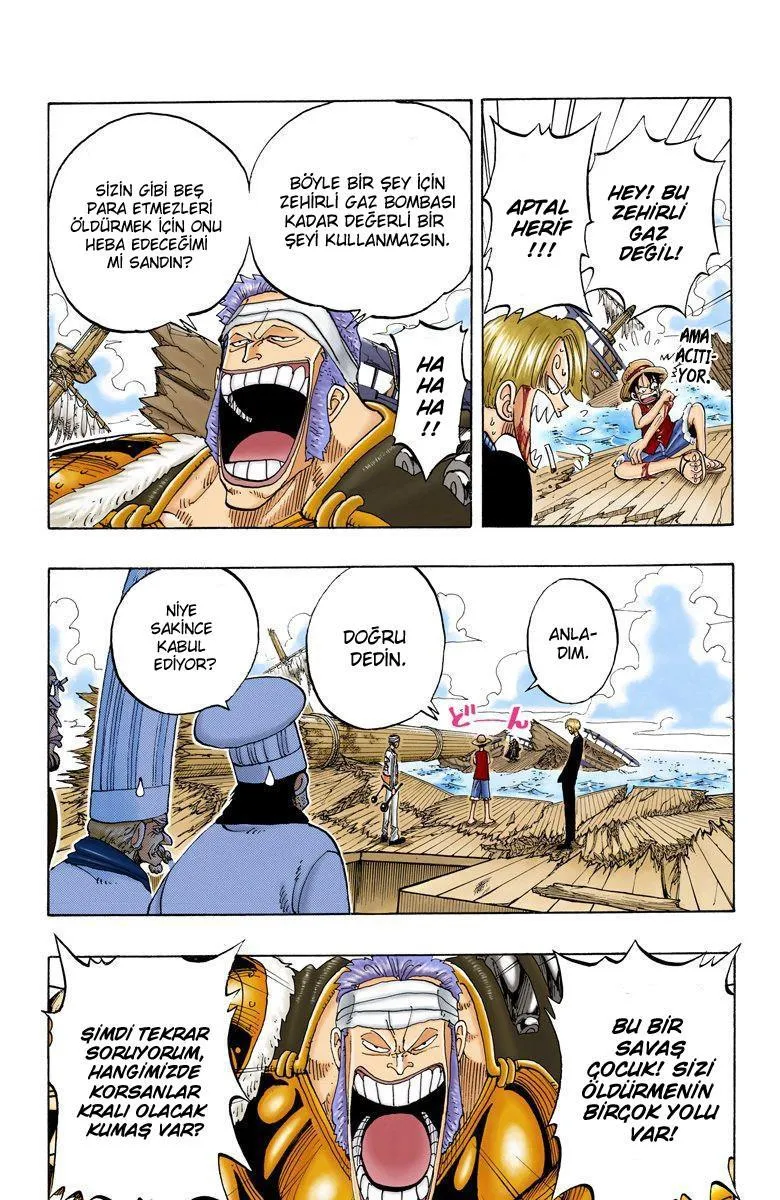 One Piece [Renkli] - Sayfa 15