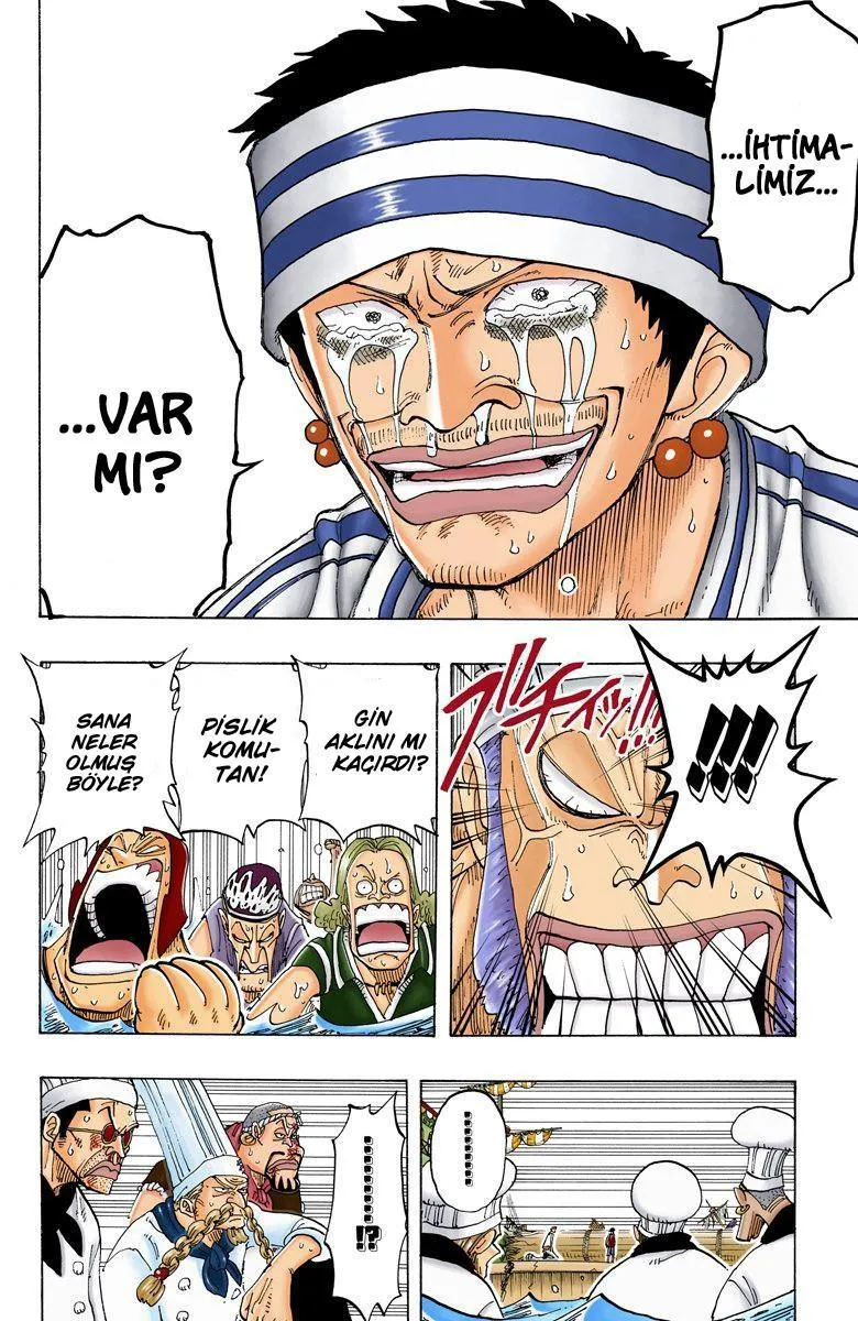 One Piece [Renkli] - Sayfa 5