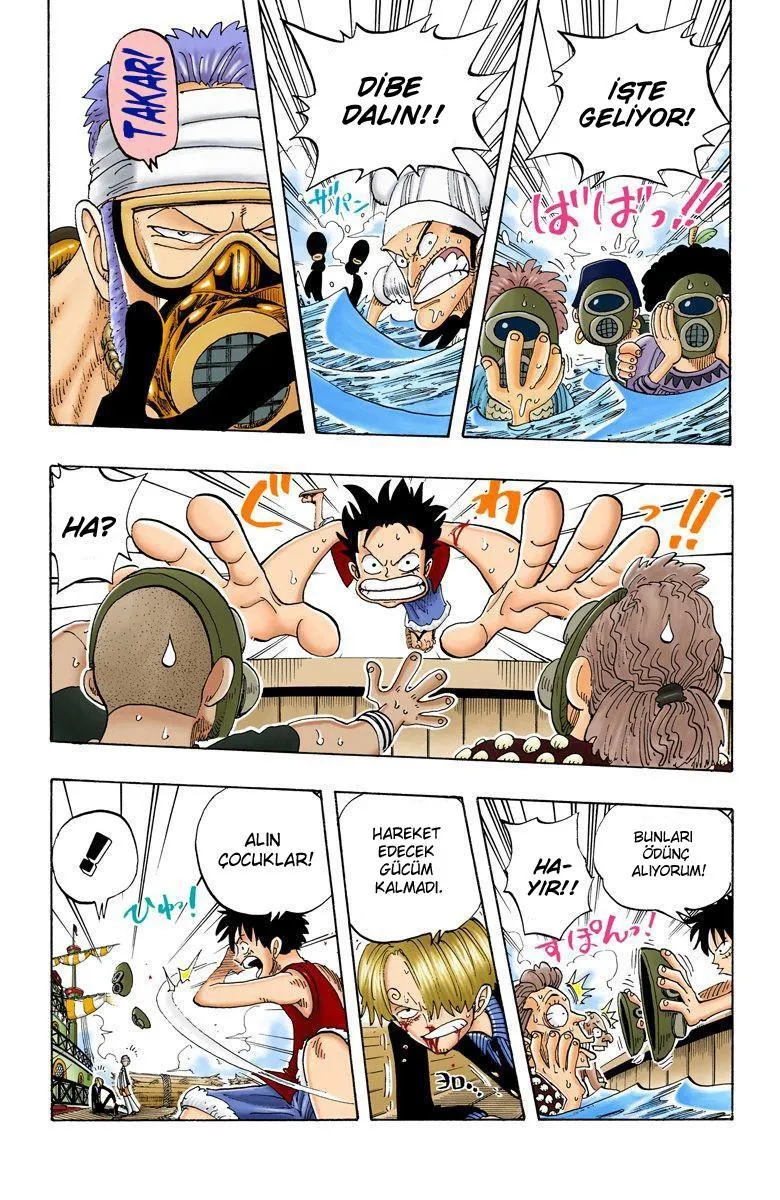 One Piece [Renkli] - Sayfa 14