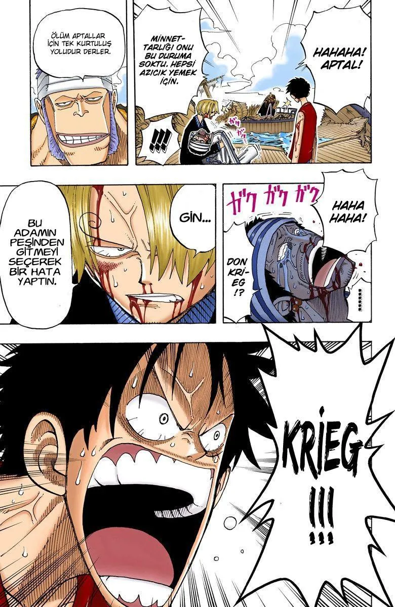 One Piece [Renkli] - Sayfa 20