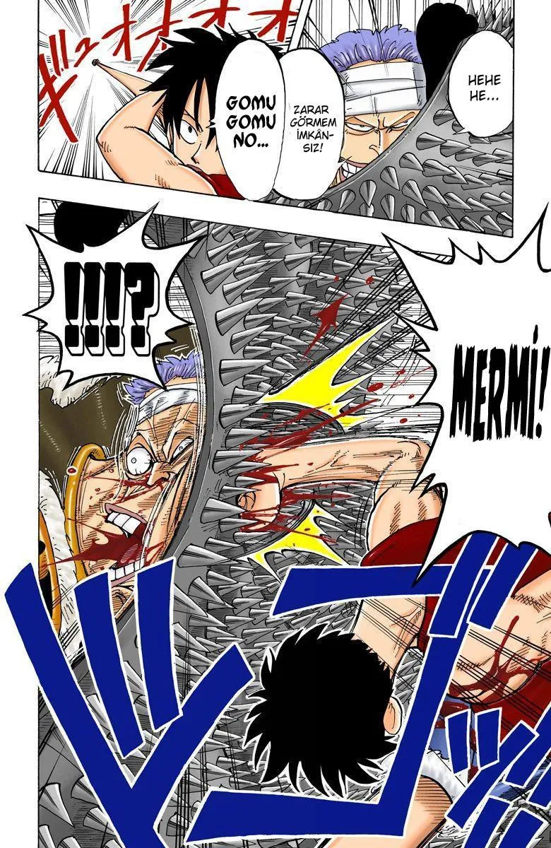 One Piece [Renkli] - Sayfa 13