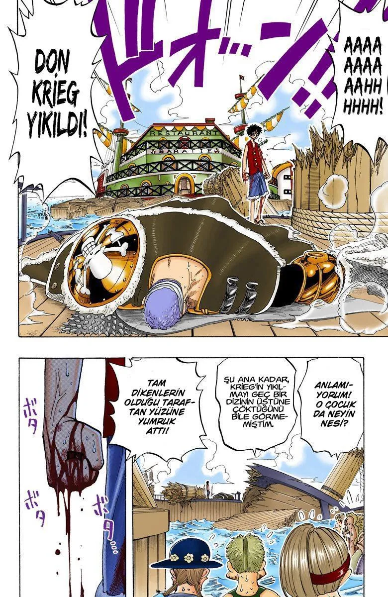 One Piece [Renkli] - Sayfa 15
