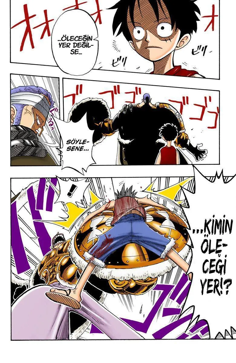 One Piece [Renkli] - Sayfa 19